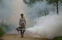 Fumigation Equipments