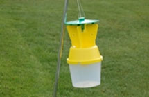 Pheromone Traps